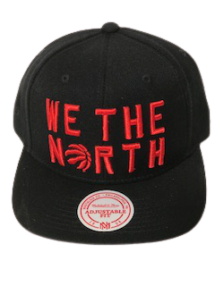 Toronto raptors Mitchell & ness brand we the north snap back NBA hat