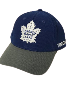 Toronto mapleleafs fanatics flexfit NHL hockey hat