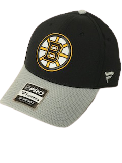 Boston bruins fanatics NHL hockey snap back hat